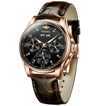 OUPINKE 3189 Top Brand Luxury Watch For Men Chronograph Wristwatch 